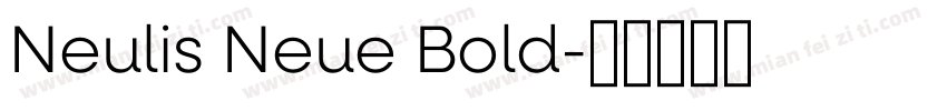 Neulis Neue Bold字体转换